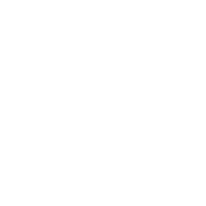 marines logo white